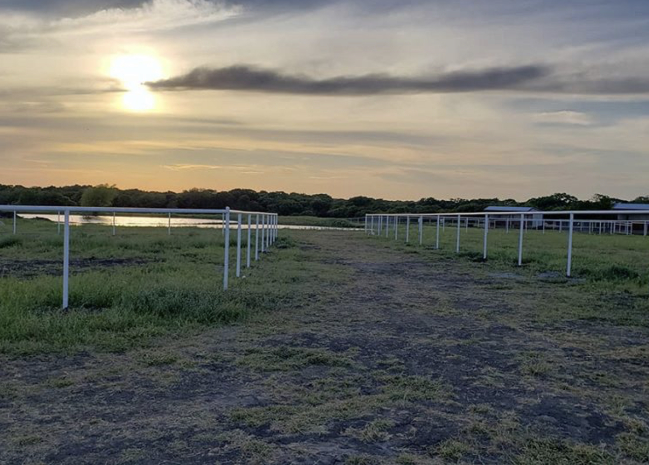 Photo of the sunset and pond