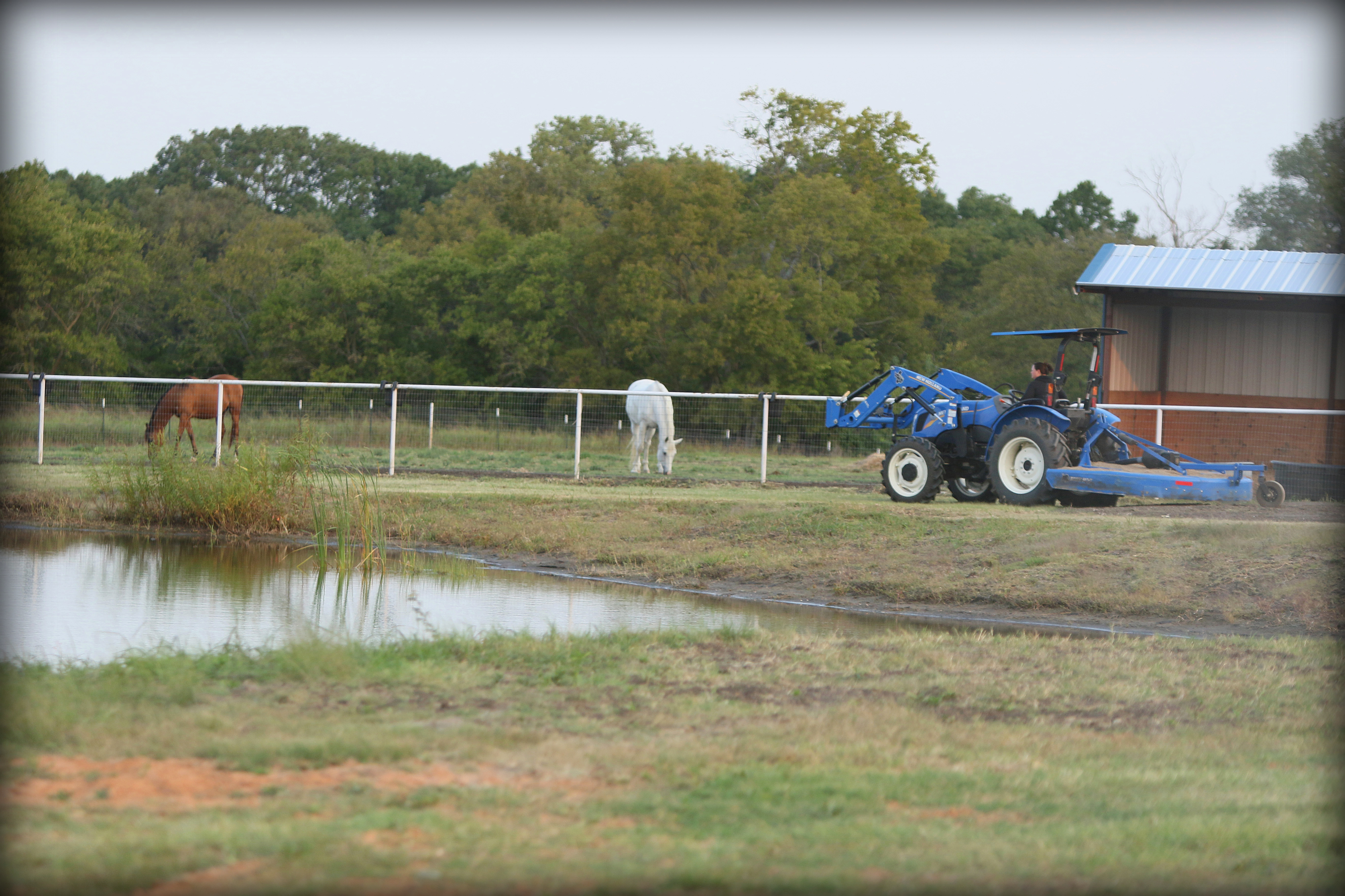 Photo of the tractor by the pasture