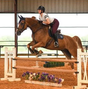 Horse jumping over fence